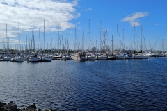 Port Greve Herckenstein 104 Haven 2